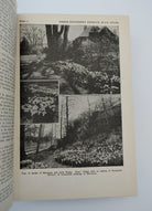 Pictures of bulb gardens from the wartime edition of The New Garden Encyclopedia with the Victory Garden supplement (1945)