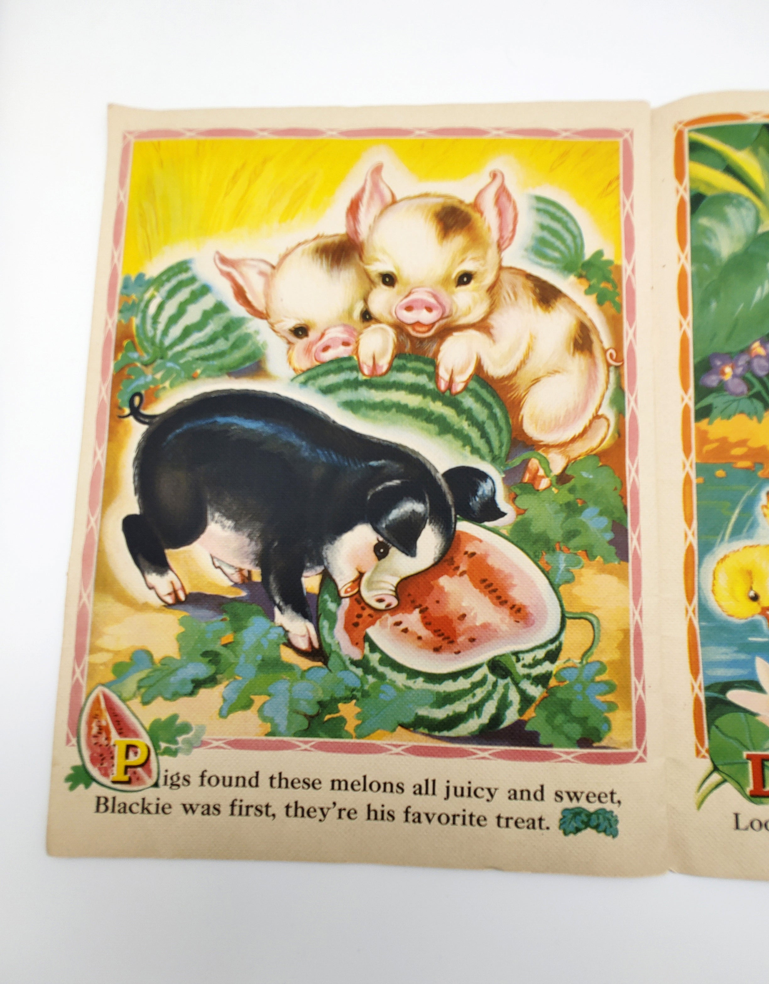 Illustration of pigs and piglets eating watermelon from Animal Pictures and Rhymes (1943)