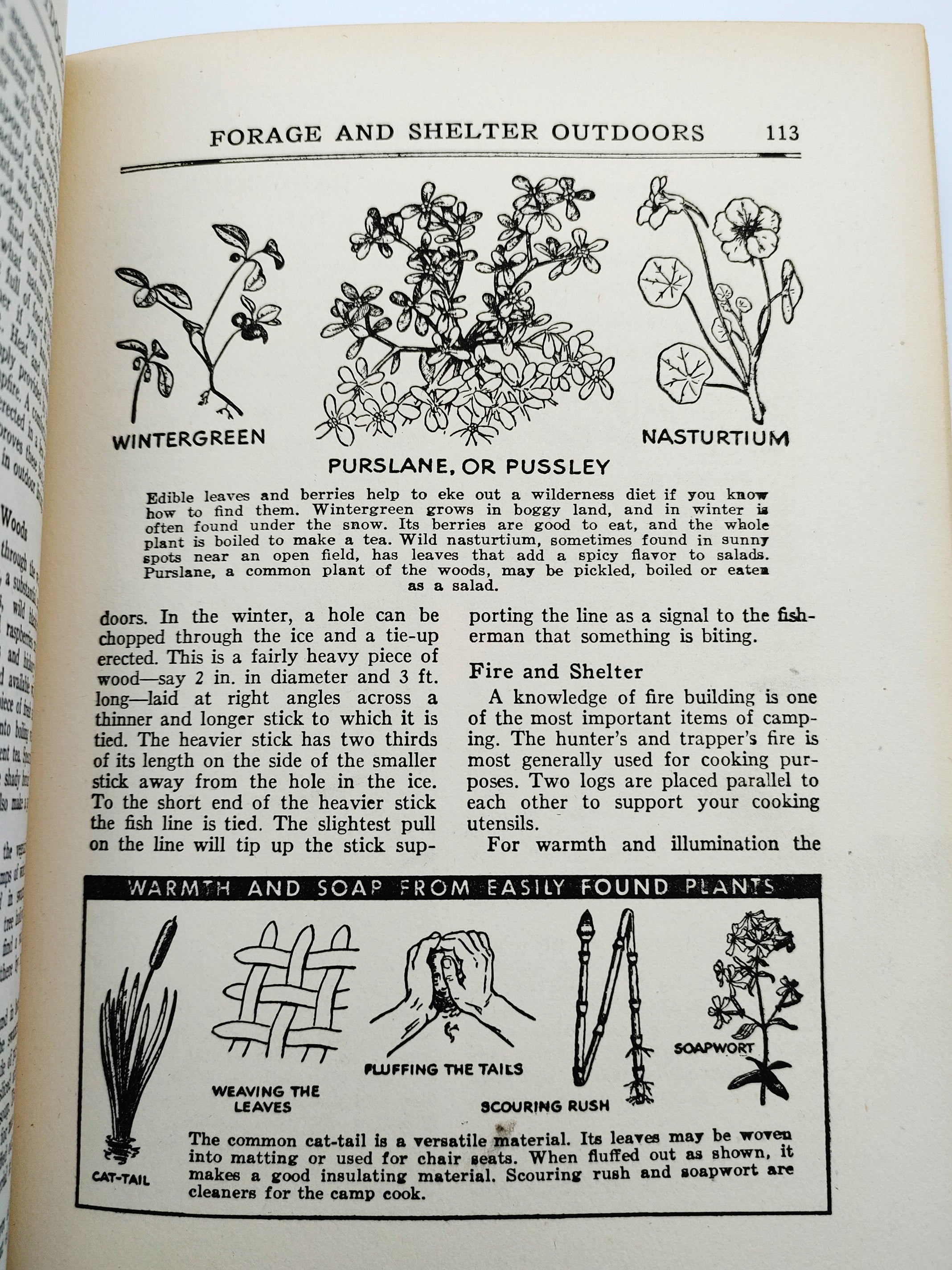 Page about foraging from the first edition of Popular Science's The War-Time Guide Book (1942)